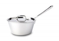 All Clad Stainless Steel 2-1/2-Quart Windsor Pan with Lid