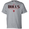 NBA adidas Chicago Bulls Ash Absolute T-shirt