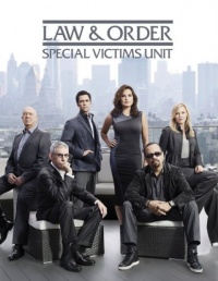 Law & Order: Special Victims Unit - The Fourteenth Year