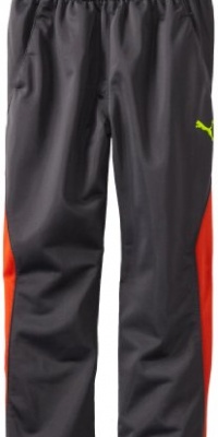 Puma - Kids Boys 2-7 Little Srong Pant, Grey, 5