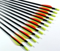 Shiny Black Fiberglass Target Practice Arrows 22 for Children (1 Dozen)