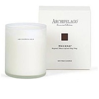 Archipelago Botanicals Excursion Collection Soy Wax Candle - Havana