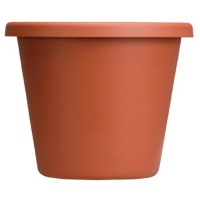 Akro Mils LIA06000E35 Classic Pot, Clay Color, 6-Inch