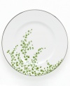 An instant classic from kate spade new york, the Gardner Street Green dinner plate exudes contemporary elegance. Green stems of foliage flourish on fine white bone china, creating a stylized two-tone floral motif to freshen up your table.