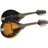 Johnson Mandolin A-Style with F Holes Sunburst