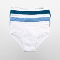 Calvin Klein Men's Basic Relaunch Recolor 2 Pack Boxer Fashion Brief, Windsurf, Large