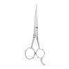 Stainless 2000 51/2 Shears