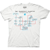 THE BIG BANG THEORY -- THE FRIENDSHIP ALGORITHM -- MENS TEE