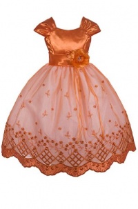 AMJ Dresses Inc Girls Orange Flower Girl Pageant Dress Sizes 2 to 16