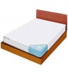 Bed Bug Blockade Mattress Cover - Twin