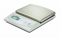 Salter 6055SSDR Stainless-Steel Digital Kitchen Scale