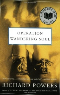 Operation Wandering Soul