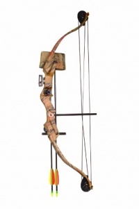 Arrow Precision Stag Youth Archery Recurve / Compound Set