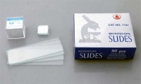 AmScope 50pc Pre-Cleaned Blank Ground Edge Glass Microscope Slides and 100pc Pre-Cleaned Square Glass Cover Slips Coverslips