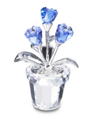 Add a touch of spring to your home with the Swarovski Forget-Me-Nots. Three sapphire-colored blooms, crafted of sparkling Swarovski crystal with rhodium stems are set in multi-faced classic flower pot. 1-3/4 H x 1-1/8 D.