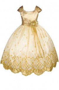 AMJ Dresses Inc Gold Princess Flower Girl Wedding Dress Sizes Baby to 16