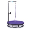 Master Equipment Small Pet Grooming Table, Purple