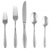 Gorham Tulip Frosted Stainless Flatware 5-Piece Place Setting, Service for 1