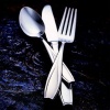 Gorham Tulip Frosted Stainless Flatware 4-Piece Serving Set