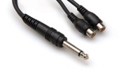 Hosa Cable YPR103 Mono 1/4 Inch Male to Dual RCA F Y Cable