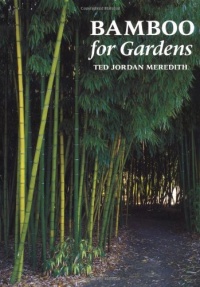 Bamboo for Gardens