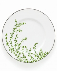 An instant classic from kate spade, this Gardner Street Green accent plate exudes contemporary elegance. Green stems of foliage flourish on fine white bone china, creating a stylized two-tone floral motif to freshen up your table.