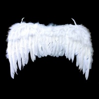 Adult Feather Angel Wings