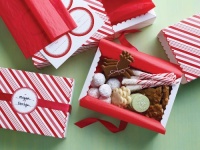 Martha Stewart Crafts Candy Cane Compartment Treat Box