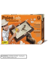 Unearth the ancient past with this Paleolab! Let them live the adventure of becoming a true paleontologist. Using the chisel and hammer, they'll discover the skeleton of a T-Rex – a faithful and detailed replica of the most famous prehistoric predator. The fossils then can be hung on the wall to remember the day of discovery. On the back of the frame, there is the list of the most important discoveries of fossils in the past.