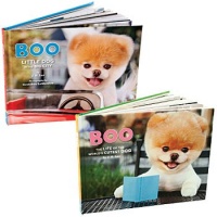 Boo Books: World's Cutest Dog and In the Big City (Set of 2) By J. H. Lee