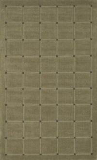 Area Rug 5x8 Rectangle Contemporary Sage Color - Momeni Metro Rug from RugPal