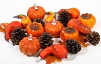 Assorted Decorative Fall Artificial Pumpkins and Gourds with Natural Pine Cones for Table Scatters (Bag of Approx 18 Pieces)