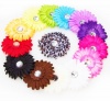 Ema Jane - 13 Assorted Cute Large Gerber Daisy Flower Hair Clips Bows - (Head Bands NOT Included) Toddlers, Infants, Baby, Youth, Girls