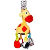 Bright Starts Start Your Senses Sensory Giraffe