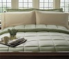 Serasoft Comforter Mini-Set Color: Sage, Size: Full/Queen