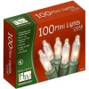 Holiday Wonderland 100-Count Clear Christmas Light Set