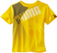 Puma - Kids Boys 8-20 Divided Tee, Gold, Small