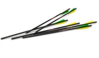 Excalibur 20-Inch Firebolt Carbon Arrows (6-Pack)