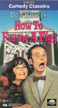 How to Frame a Figg [VHS]