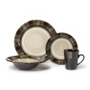 Pfaltzgraff 16-pc. Cayman Dinnerware Set