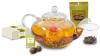 Primula 40-Ounce Daisy Tea Pot with 12 Flowering Green Teas with Jasmine Flavor and 1-1/4gm Packet of Loose Green Tea