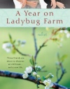 A Year on Ladybug Farm