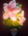 Azalea Night Light - Ibis & Orchid Flowers of Light Collection