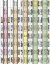 Noah's Ark Animal 77 Rainbow Bible Tabs