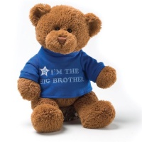 Gund I'm The Big Brother Message 12 Bear Plush