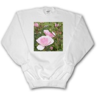 Maine, Ogunquit, pink roses - US20 LEN0003 - Lisa S. Engelbrecht - Youth SweatShirt Large(14-16)