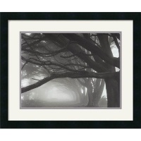 Cypresses, Skyline Drive, South San Francisco, 1996 Framed Art Print by Mark Citret