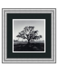 Silhouetted by the rising sun, a sprawling oak casts its broad shadow in the photographer's direction. A smooth white mat and simple, black satin frame complement the classic print, an alluring nature scene for any room and decor. By Ansel Adams for the University of California.