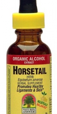 Nature's Answer Horsetail Herb, 1-Ounce