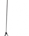 Adesso 3051-22 Spotlight Steel Floor Lamp with Tripod Base